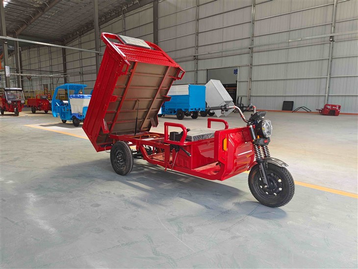 Electric Cargo Tricycle for Adults factory