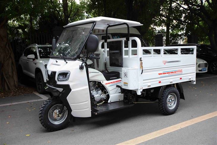 Gasoline Cargo Tricycle